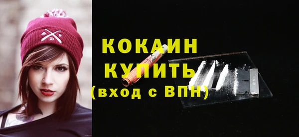 шишки Наволоки