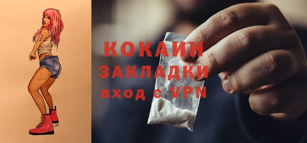 шишки Наволоки
