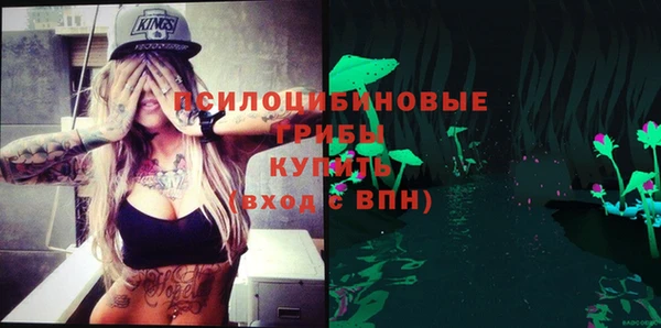 шишки Наволоки